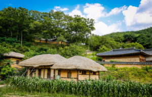 Rural Village in South Korea