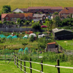 The Rural Village of Lambourn